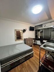 The Plaza (D7), Apartment #447838531